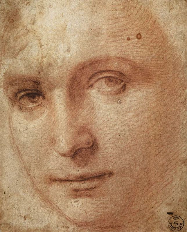 Image result for raphael drawings red chalk a face