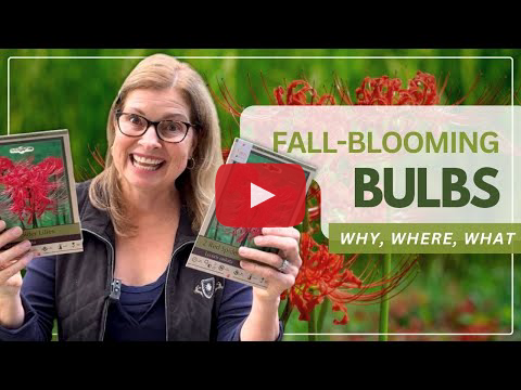 Rebecca Sweet - Fall-Blooming Bulbs video