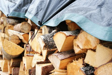 wood image