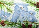 Owl Babies - Posted on Wednesday, December 10, 2014 by Monique Morin Matson