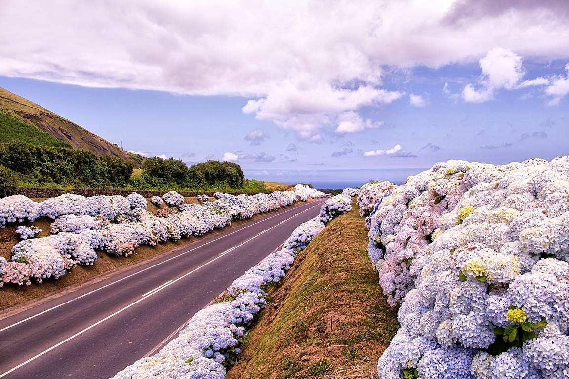 Açores