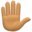 ✋🏽