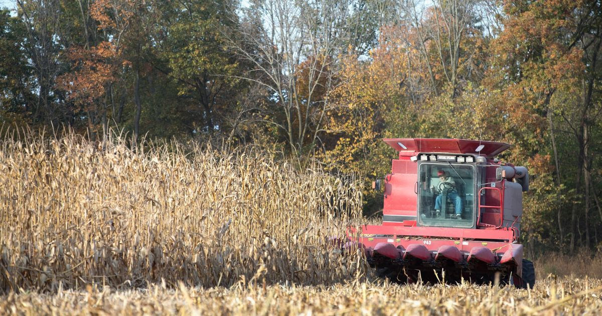 Farmers Sound the Alarm: US Facing Catastrophic Problem