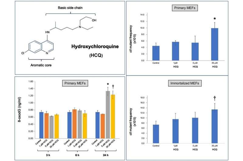 Study points to toxic potential of hydroxychloroquine in mammalian cells