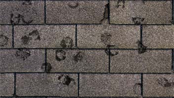 shingle damage hail