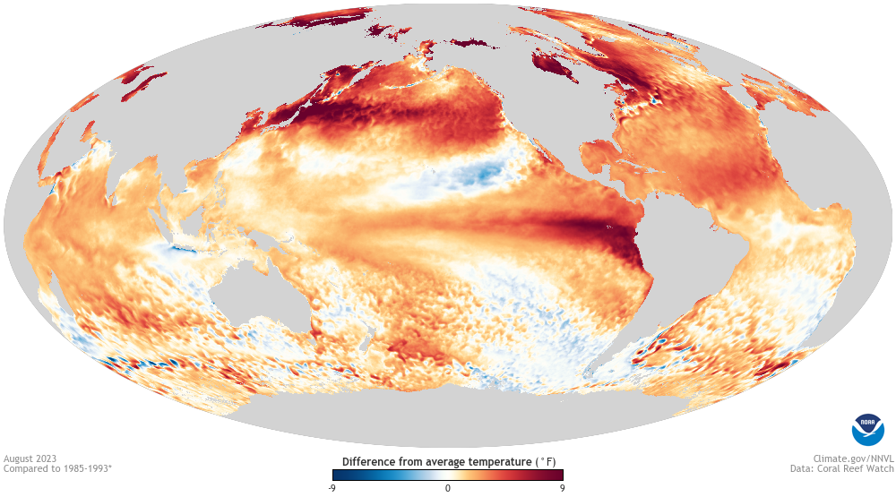 Ocean--Monthly--Difference-from-average-Sea-Surface-Temperature--Global--2023-08-00--large_1 image