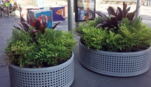 Australia: Victoria installs permanent anti-jihad bollards disguised as planters, set to study “Islamophobia”