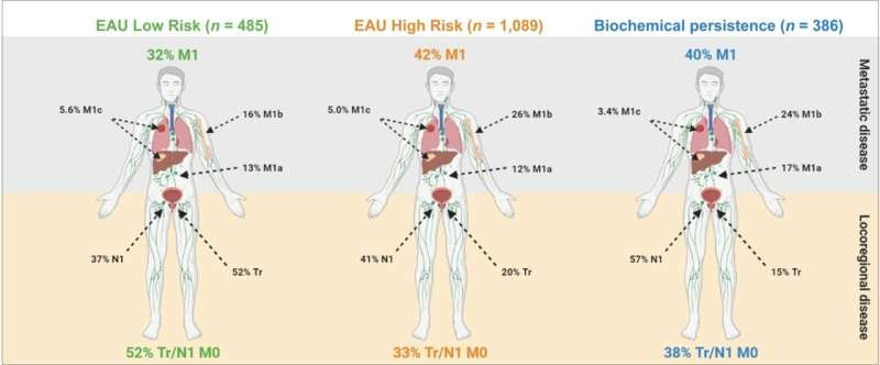 PSMA PET validates EAU classification system to determine risk of prostate cancer recurrence