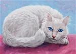 Blue-eyed Kitty - Posted on Tuesday, February 3, 2015 by Crista Forest