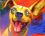 Why Is This Dog Smiling? - Posted on Thursday, February 5, 2015 by Jeff Leedy