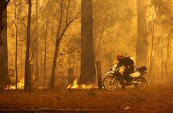 Los científicos alertan de que los incendios de Australia son un presagio de lo que le espera al planeta en el futuro