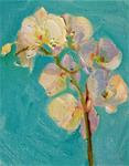 December Orchid,still life,oil on canvas,10x8,price$250 - Posted on Thursday, December 25, 2014 by Joy Olney