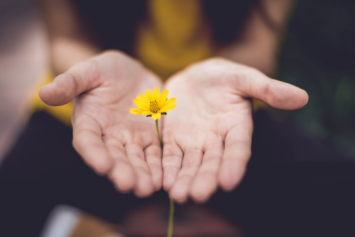 Minute Meditations | Photo by Lina Trochez on Unsplash