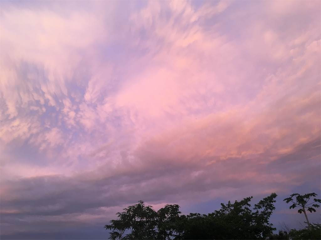 ピンク色に染まる空。朝焼け。