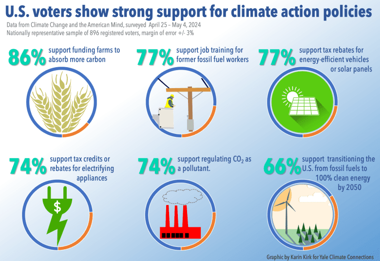 An infographic showing strong support for climate-pollution reducing policies