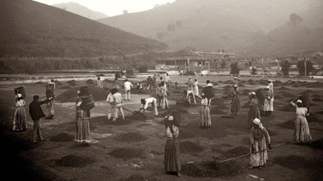 Pessoas escravizadas em fazenda de café no Vale do Paraíba 