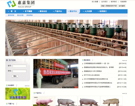 Screenshot of Yunnan Huijia Co. Ltd's website