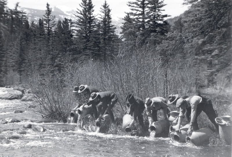 Fish stocking in the 1930s. Photo: Rocky Mountain National Park.
