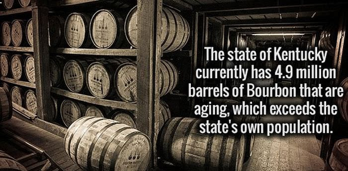 20 Weird Facts You Didn't Know You Need to Know