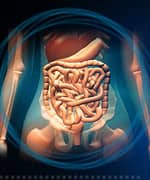 The Overlooked Role of Probiotics in Human Health