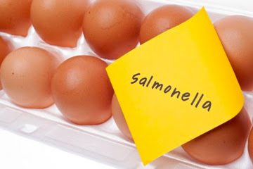 Salmonelosis, evita las consecuencias de esta intoxicación alimentaria