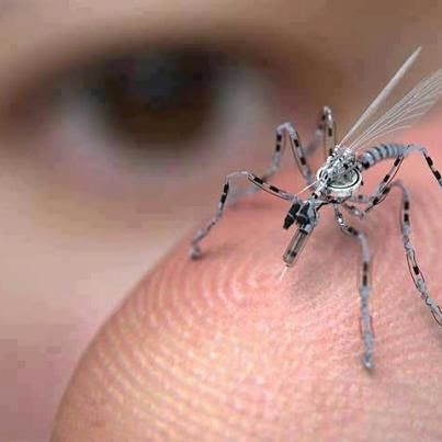 nano-drone.jpg