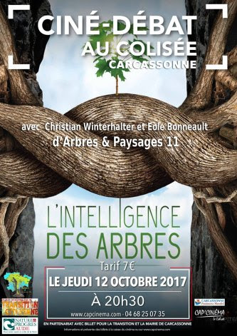 Affiche projection débat L'intelligence des arbres au Colisée