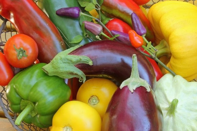 Do Nightshade Vegetables Aggravate Your Arthritis Worsening Pain?