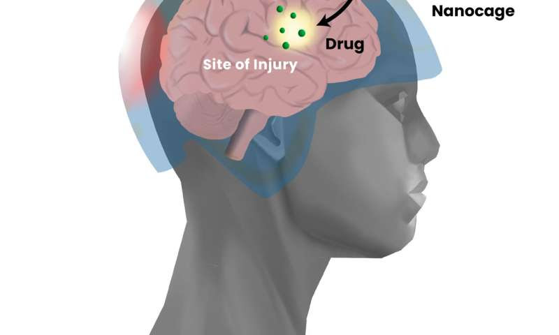 Development of precision drug delivery tool to treat traumatic brain injury