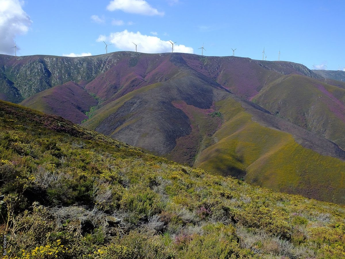 Maciço da Gralheira