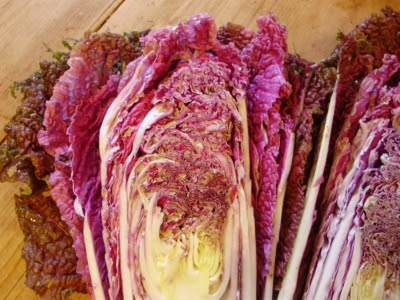 Chinese cabbage Scarlette halved - showing it's stunning heart Chinese cabbage Scarlette halved - showing it's stunning heart