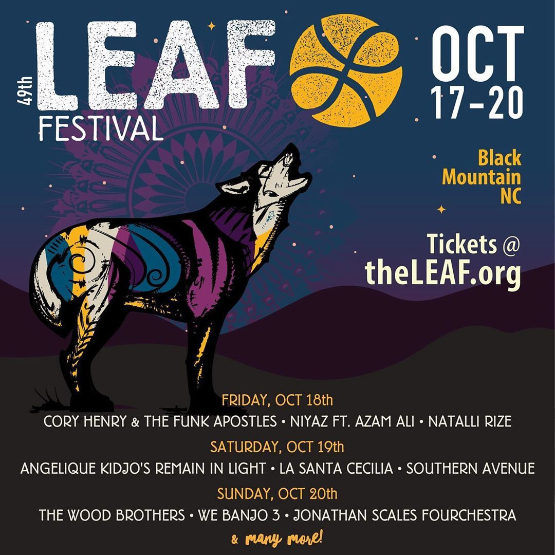 Fall-leaf-lineup-2019