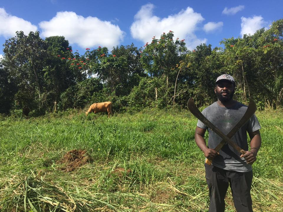 black owned farms