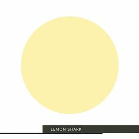 Lemon Shark Soft Yellow - Coastal Day Dream Apothecary Paint