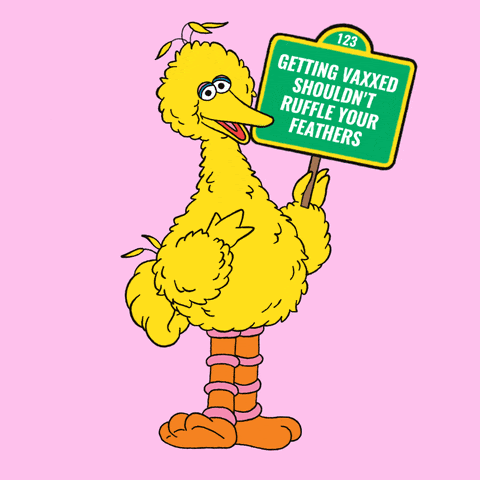 Image of big bird holding a sign that says "getting vaxxed shouldn't leave you feathers ruffled"