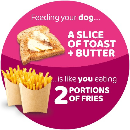 2023 WeighUp Infographics Dog Toast Chips 72dpi