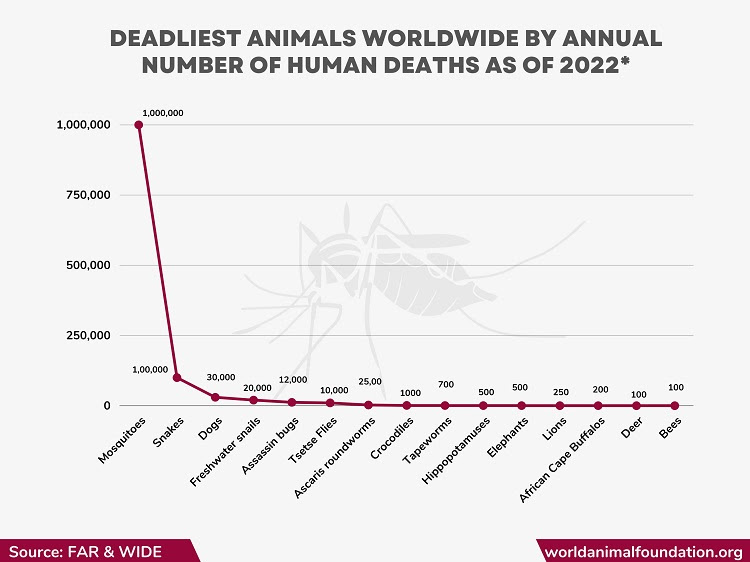 deadliest animals worldwide