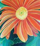 Orange Gerbera Daisy - Posted on Wednesday, February 25, 2015 by Anne Stewart