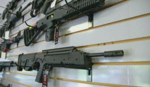 House Approves New Gun Control Measures on Semi-Automatic Rifles