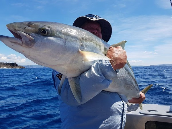 Solid King caught on Epic with Capt Chase
