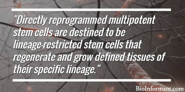 Definition direct cell reprogramming