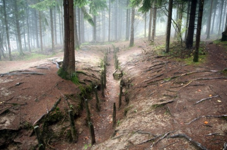 http://cdn.wtvideo.com/images/article/list/9262_27.jpg