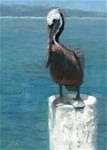 Pelican Resting - Posted on Tuesday, March 3, 2015 by Linda Jacobus