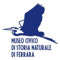 Logo Museo Ferrara