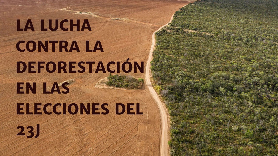 PSOE, PP, Sumar, ERC y
BNG se comprometen con la
lucha contra la deforestación