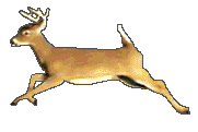r56GID6MjAxYImHzkxQRV7DbNXnqATjwYbJ_gf_oP6RGZNuk9X4JfZ296RUwnSJl.gif
