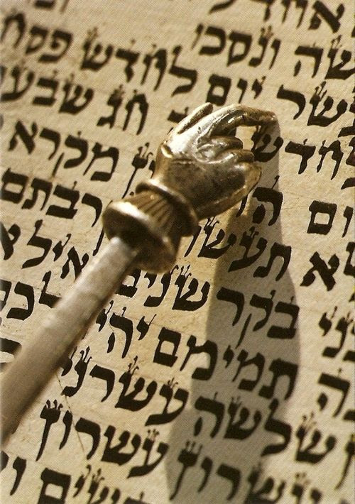 Torah scroll text and pointer