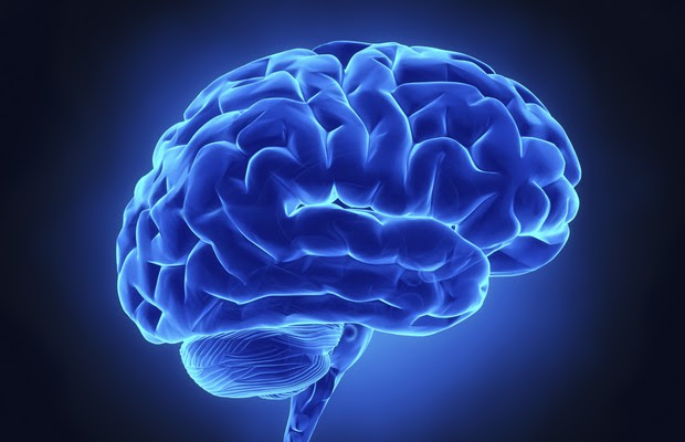 cérebro; mente; pensamento (Foto: Thinkstock) cérebro; mente; pensamento (Foto: Thinkstock)