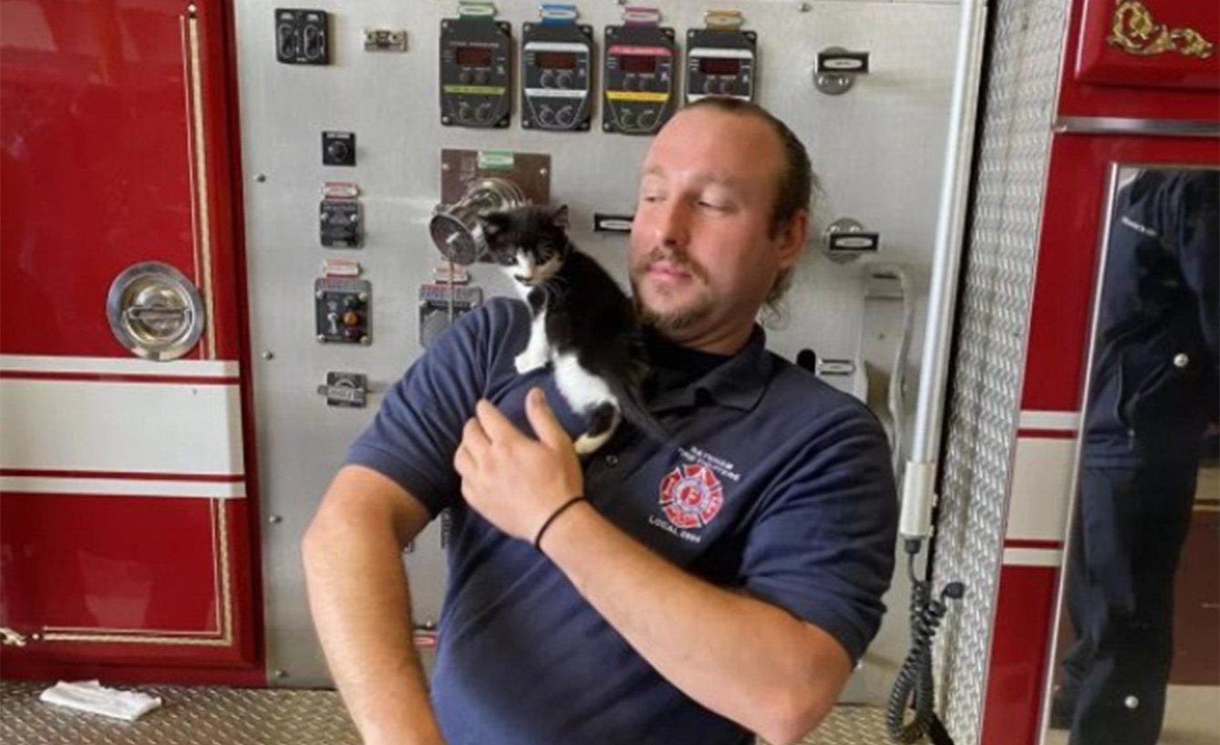 a firefighter getting climbed on by a kitten.