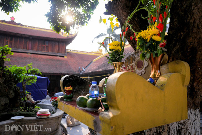 Vẻ cổ kính, bình yên của ngôi chùa đẹp nhất thế giới tại Việt Nam - 7